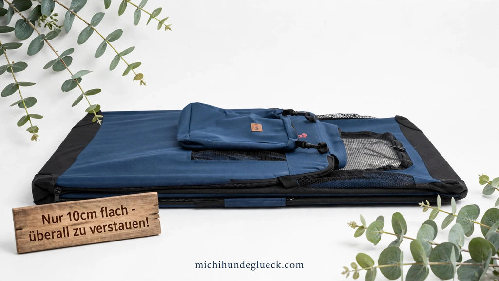 LovPet Faltbox XXL 90x60x60cm Blau