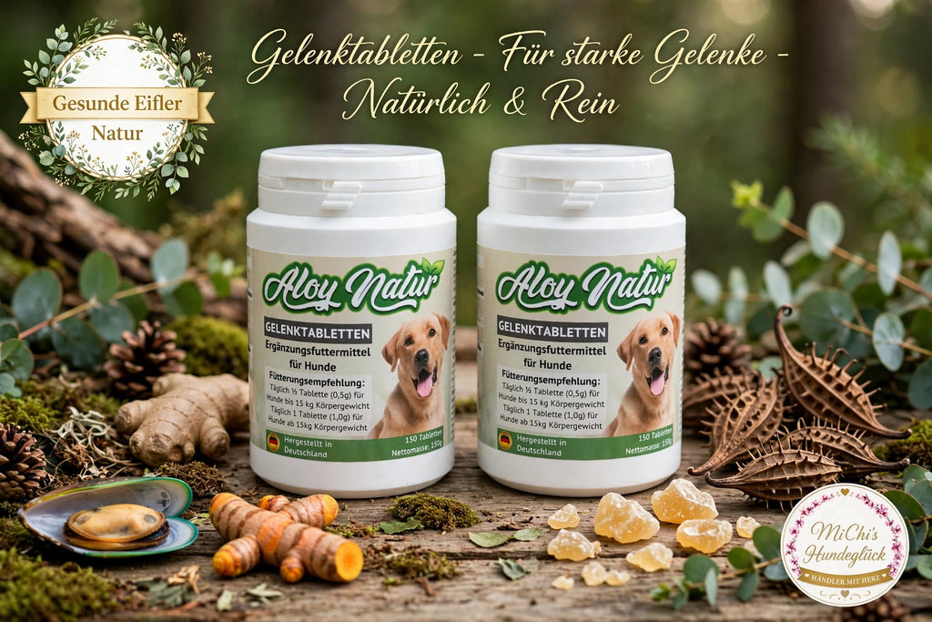 Gelenktabletten für Hunde - Mit Grünlippmuschel, MSM & Teufelskralle - 150 Tabletten