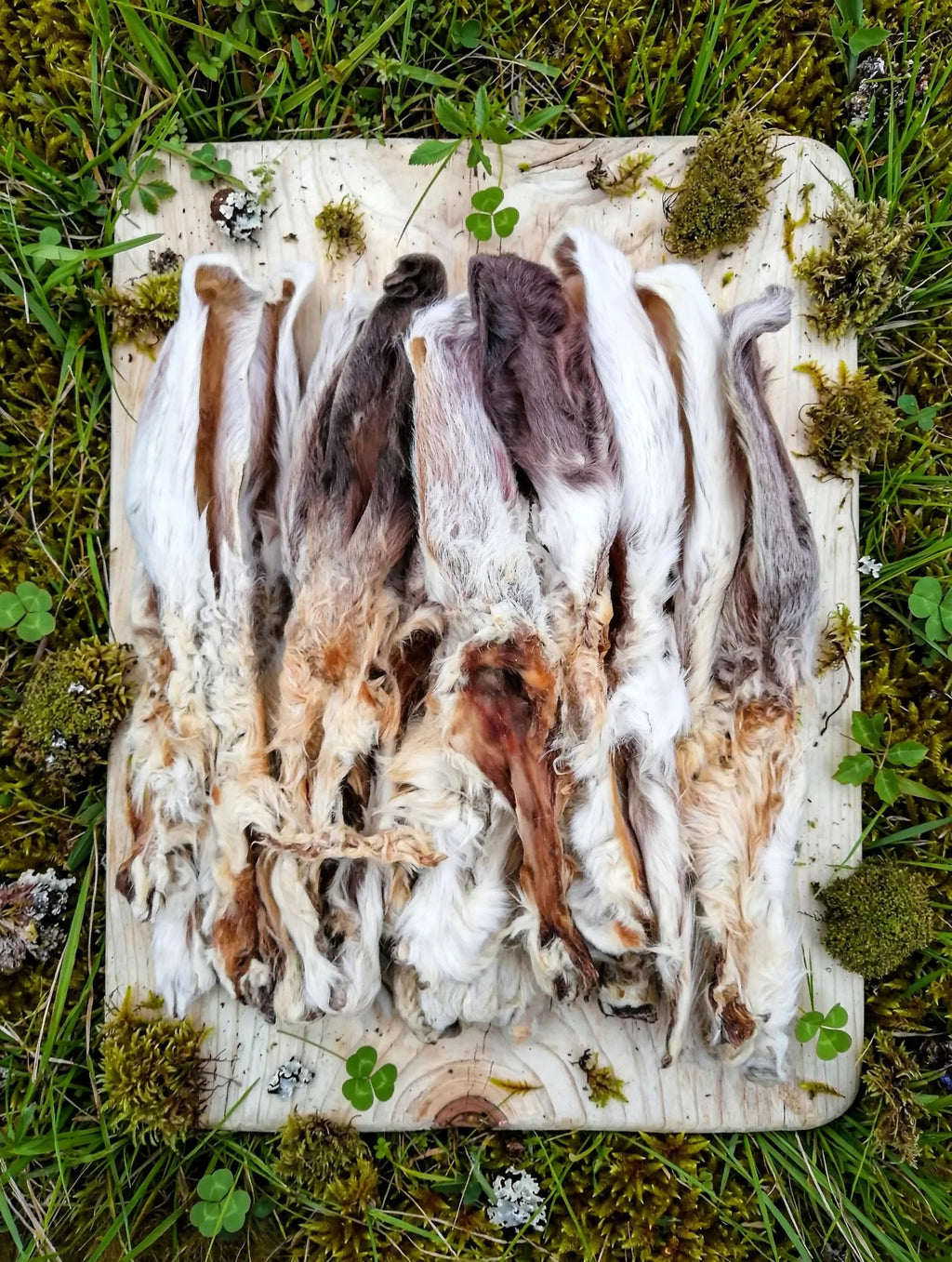 Kaninchenohren mit Fell 200g – Natürliche Zahnpflege & Darmreinigung