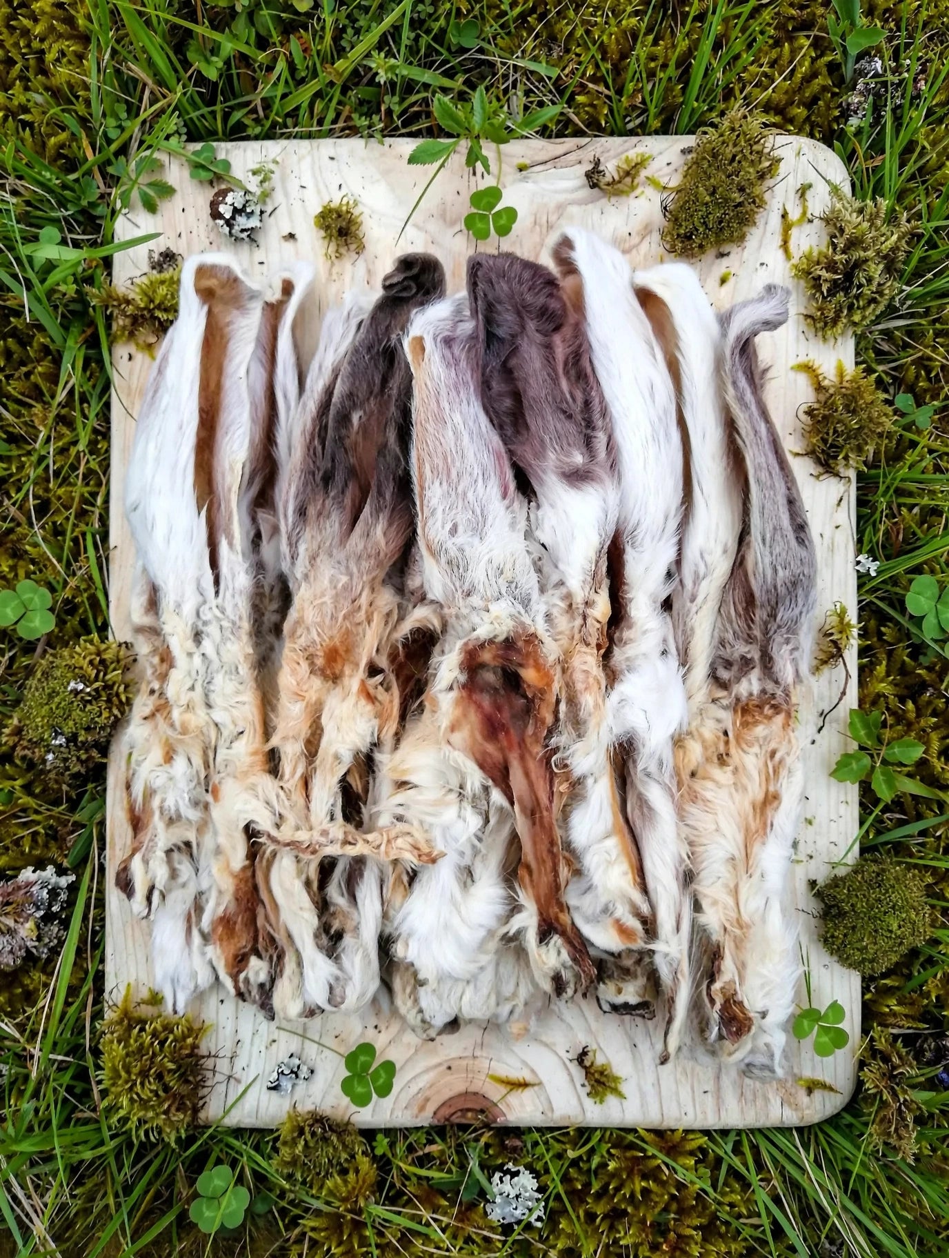 Kaninchenohren mit Fell 200g – Natürliche Zahnpflege & Darmreinigung